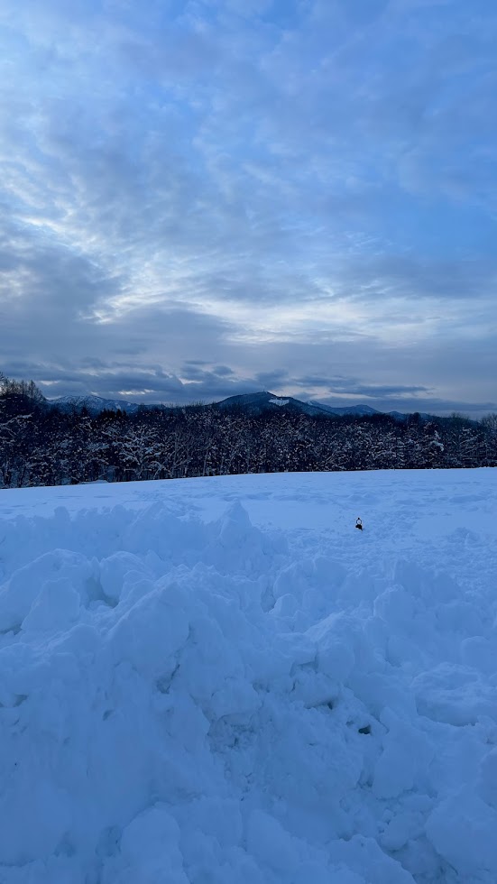 さっぽろ羊ヶ丘展望台の雪景色